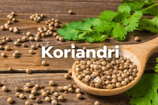 koriandri