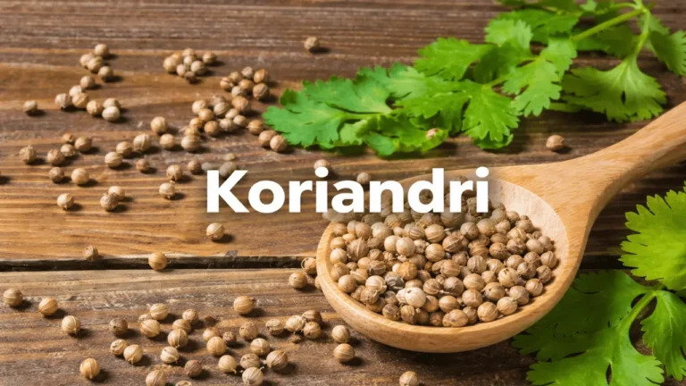 koriandri