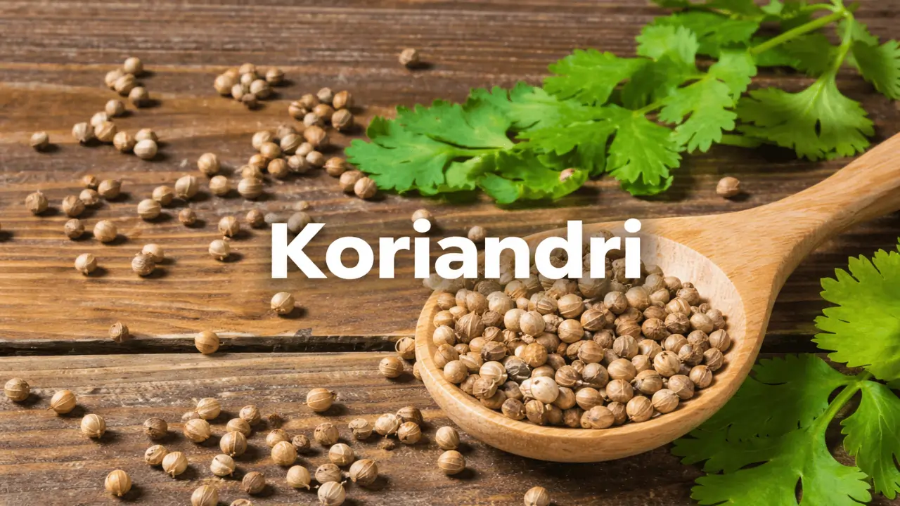 koriandri