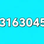 03316304572